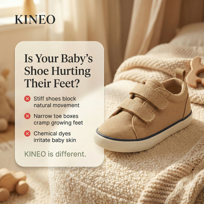 The Kineo Canvas Explorer