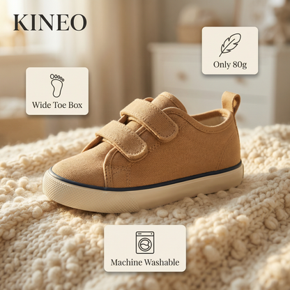 The Kineo Canvas Explorer